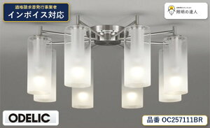 8/4�`8/11 ���������}���\���@�y������z�@�@ �I�[�f���b�N ODELIC �V�����f���A OC257111BR
