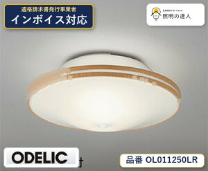�y������z�@�@ �I�[�f���b�N ODELIC ���^�V�[�����O���C�g OL011250LR