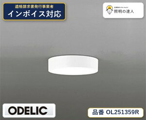 �y������z�@�@ �I�[�f���b�N ODELIC ���^�V�[�����O���C�g OL251359R
