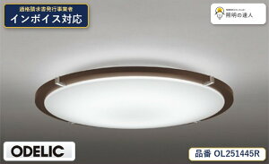 �y������z�@�@ �I�[�f���b�N ODELIC �V�[�����O���C�g OL251445R