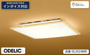 �y������z�@�@ �I�[�f���b�N ODELIC �a���Ή����i OL251480R