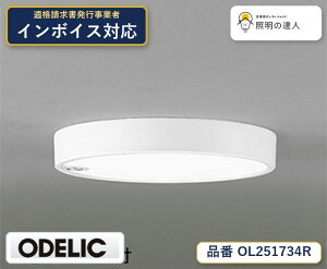 �y������z�@�@ �I�[�f���b�N ODELIC ���^�V�[�����O���C�g OL251734R