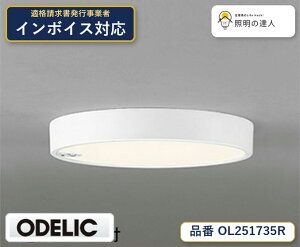 �y������z�@�@ �I�[�f���b�N ODELIC ���^�V�[�����O���C�g OL251735R