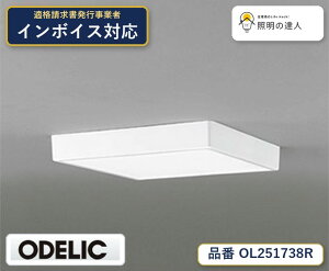 8/4�`8/11 ���������}���\���@�y������z�@�@ �I�[�f���b�N ODELIC ���^�V�[�����O���C�g OL251738R