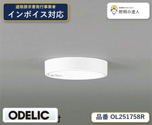 7/19�`7/26 ���������}���\�� �ő�47.5�{�@�y������z�@�@ �I�[�f���b�N ODELIC ���^�V�[�����O���C�g OL251758R