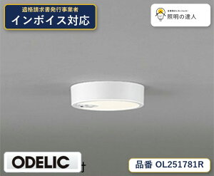 7/19�`7/26 ���������}���\�� �ő�47.5�{�@�y������z�@�@ �I�[�f���b�N ODELIC ���^�V�[�����O���C�g OL251781R