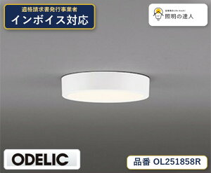 �y������z�@�@ �I�[�f���b�N ODELIC ���^�V�[�����O���C�g OL251858R