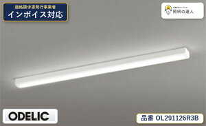 �y������z�@�@ �I�[�f���b�N ODELIC �L�b�`�����C�g OL291126R3B