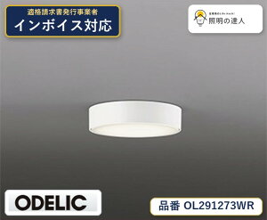 �y������z�@�@ �I�[�f���b�N ODELIC ���^�V�[�����O���C�g OL291273WR