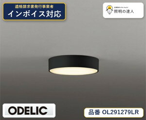 �y������z�@�@ �I�[�f���b�N ODELIC ���^�V�[�����O���C�g OL291279LR