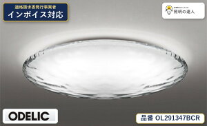 �y������z�@�@ �I�[�f���b�N ODELIC �V�[�����O���C�g OL291347BCR�@Instagram�f��