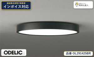 �y������z�@�@ �I�[�f���b�N ODELIC �V�[�����O���C�g OL291425BR