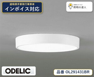 �y������z�@�@ �I�[�f���b�N ODELIC ���^�V�[�����O���C�g OL291431BR