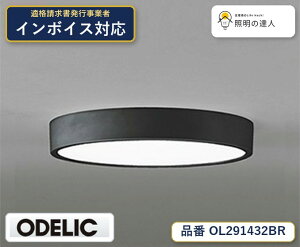 �y������z�@�@ �I�[�f���b�N ODELIC ���^�V�[�����O���C�g OL291432BR