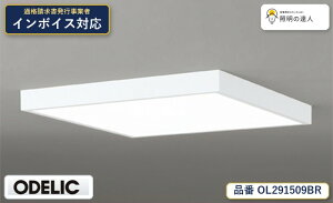 7/4�`7/11 ���������}���\�� �ő�49.5�{�@�y������z�@�@ �I�[�f���b�N ODELIC �V�[�����O���C�g OL291509BR