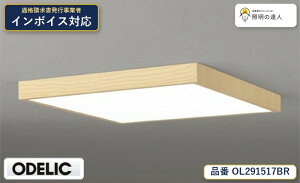 �y������z�@�@ �I�[�f���b�N ODELIC �V�[�����O���C�g OL291517BR