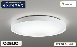 �y������z�@�@ �I�[�f���b�N ODELIC �V�[�����O���C�g OL291553R
