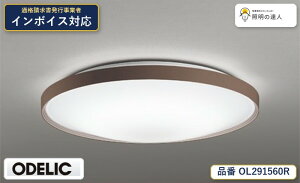 �y������z�@�@ �I�[�f���b�N ODELIC �V�[�����O���C�g OL291560R