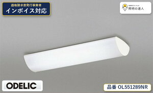 �y������z�@�@ �I�[�f���b�N ODELIC �L�b�`�����C�g OL551289NR