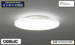 �I�[�f���b�N ODELIC OL291617BR LED�V�[�����O���C�g �d���F 5420lm