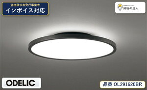 �I�[�f���b�N ODELIC OL291620BR LED�V�[�����O���C�g �d���F 500lm