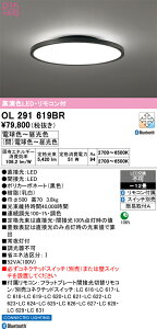 �I�[�f���b�N ODELIC OL291619BR LED�V�[�����O���C�g �d���F 5420lm