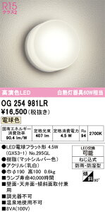 �y�ň��l�ɒ���z�@�I�[�f���b�N ODELIC�@LED�y���_���g���C�g*OG254981LR