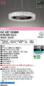 �y�ň��l�ɒ���z�@�I�[�f���b�N ODELIC�@LED�V�[�����O�E�V�����f���A*OC257223BR