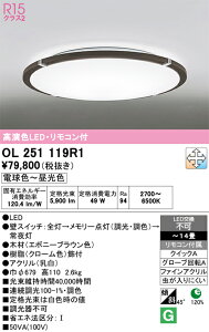 �y�ň��l�ɒ���z�@�I�[�f���b�N ODELIC�@LED�V�[�����O�E�V�����f���A*OL251119R1