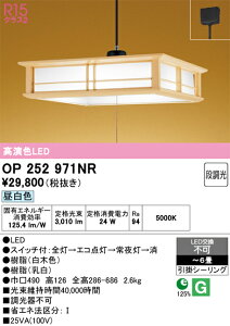 �y�ň��l�ɒ���z�@�I�[�f���b�N ODELIC�@LED�y���_���g���C�g*OP252971NR