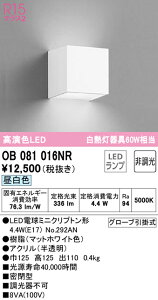 �y������z�@�@ �I�[�f���b�N ODELIC �u�����P�b�g���C�g OB081016NR