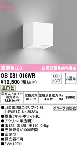 �y������z�@�@ �I�[�f���b�N ODELIC �u�����P�b�g���C�g OB081016WR