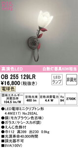 6/4�`6/11 �y�V�X�[�p�[SALE �ő�47�{�@�y������z�@�@ �I�[�f���b�N ODELIC �u�����P�b�g���C�g OB255129LR