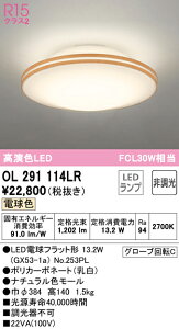 6/4�`6/11 �y�V�X�[�p�[SALE �ő�47�{�@�y������z�@�@ �I�[�f���b�N ODELIC ���^�V�[�����O���C�g OL291114LR