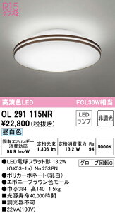 1/24�`1/29 ���������}���\�� �ő�47�{�@�y������z�@�@ �I�[�f���b�N ODELIC ���^�V�[�����O���C�g OL291110NR