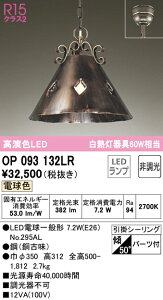 6/4�`6/11 �y�V�X�[�p�[SALE �ő�47�{�@�y������z�@�@ �I�[�f���b�N ODELIC �y���_���g���C�g OP093132LR