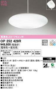 �y������z�@�@ �I�[�f���b�N ODELIC �y���_���g���C�g OP252429R
