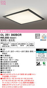 yz@@ I[fbN ODELIC aΉi OL251392BCR