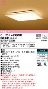 yz@@ I[fbN ODELIC aΉi OL251479BCR