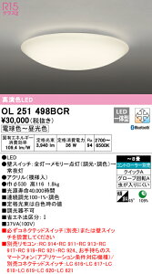 9/4`9/11IyVX[p[SALE@ő47{@yz@@ I[fbN ODELIC aΉi OL251498BCR