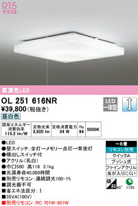 �y������z�@�@ �I�[�f���b�N ODELIC �V�[�����O���C�g OL251616NR