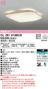 yz@@ I[fbN ODELIC aΉi OL291019BCR