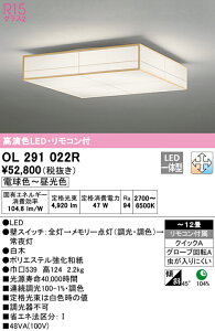 9/4`9/11IyVX[p[SALE@ő47{@yz@@ I[fbN ODELIC aΉi OL291022R