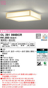 9/4`9/11IyVX[p[SALE@ő47{@yz@@ I[fbN ODELIC aΉi OL291098BCR