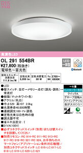 �y������z�@�@ �I�[�f���b�N ODELIC �V�[�����O���C�g OL291554BR