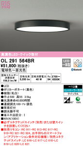 �y������z�@�@ �I�[�f���b�N ODELIC �V�[�����O���C�g OL291564BR