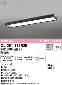\3NZ[10/1X^[g@yz@@ I[fbN ODELIC aΉi OL291872R2B