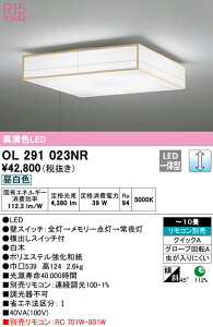 \3NZ[10/1X^[g@yz@@ I[fbN ODELIC aΉi OL291023NR