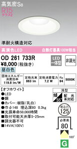 �y������z�@�@ �I�[�f���b�N ODELIC �_�E�����C�g OD261733R