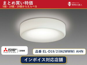 �y�I�ׂ���z�O�H�d�@ EL-D19/2(062WWM) AHN �_�E�����C�g 1�`30��